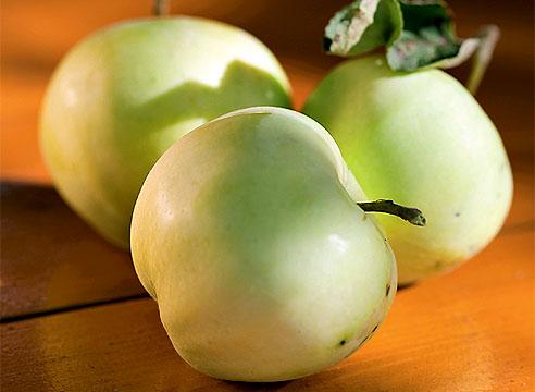 Плоды с яблони